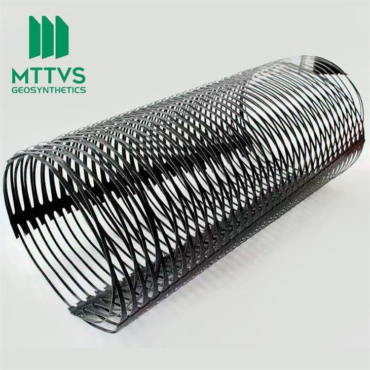 Geogrid